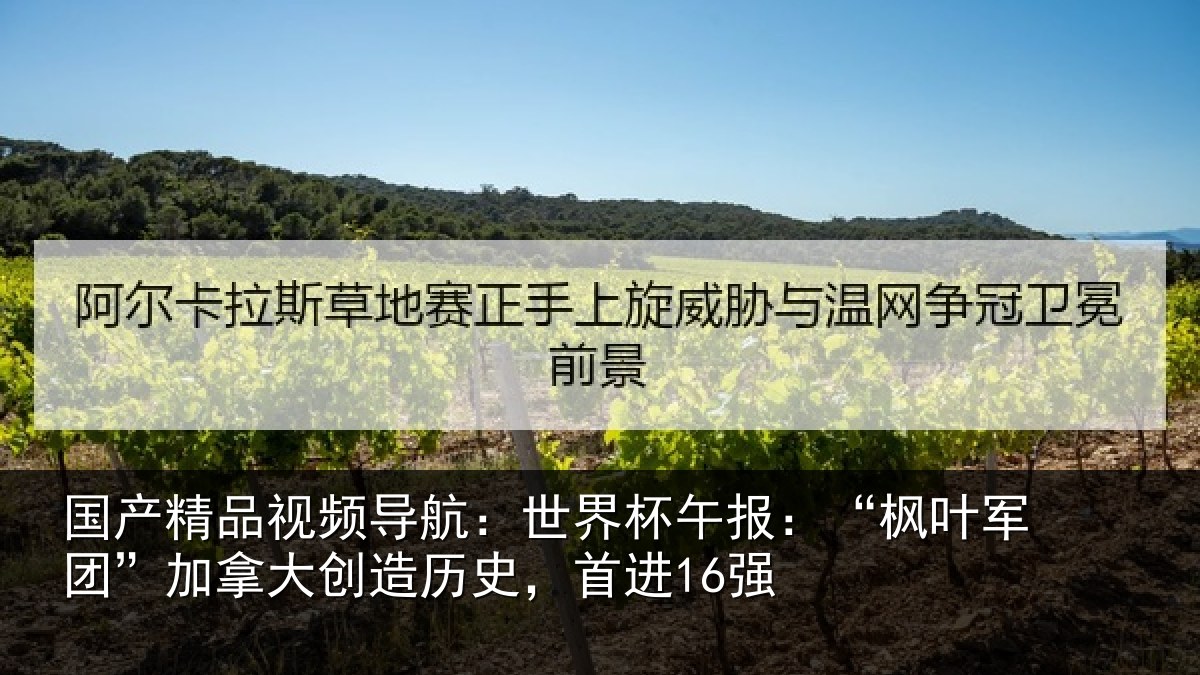 国产精品视频导航:世界相关情况拿大创造历史,首进16强