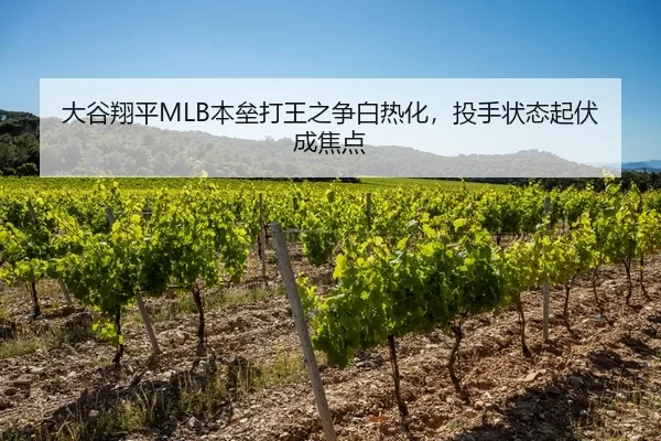 大谷翔平MLB本垒打王之争白热化，投手状态起伏成焦点